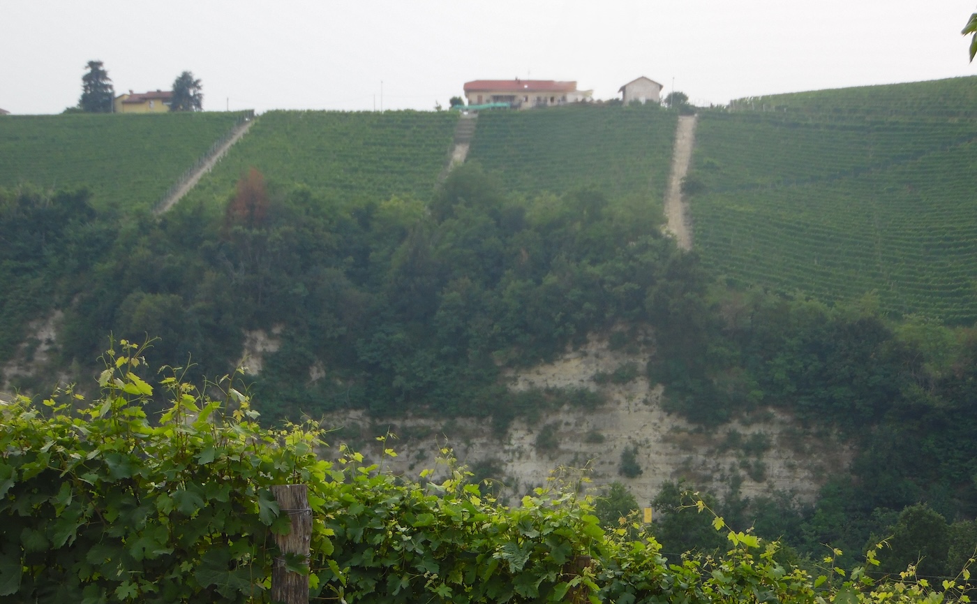 Rocche di Castiglione wines